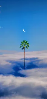 Lone palm tree in clouds with moon.