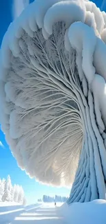 Snowy tree under blue sky in winter landscape.