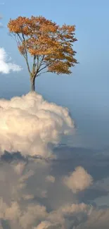 A solitary tree floating above fluffy clouds under a clear blue sky.