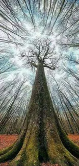 Surreal tree with dynamic sky effect in a forest setting wallpaper.