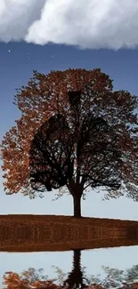 Surreal tree and cloud reflection art on a calm water landscape.