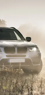 SUV in a misty field at sunrise, creating a serene and powerful scene.