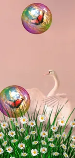 Swan with bubbles and daisies on a peach background.