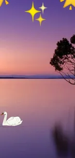 Swan on a tranquil lake with stars and twilight sky background.