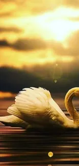 Graceful swan gliding at golden sunset over serene lake.