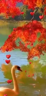 Swan floating in a heart-filled autumn scene with vibrant red leaves.