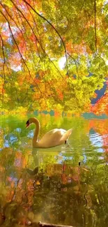 Swan glides on a colorful autumn lake with vibrant foliage reflections.