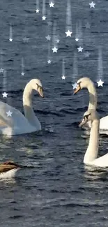 Swans in a lake with falling stars at night.