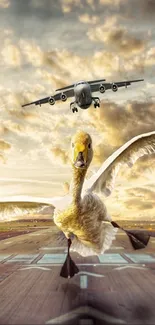 A swan on a runway with a plane flying above in a surreal scene.