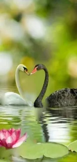 Swans forming a heart shape on a peaceful pond with lush greenery.