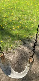 A lone swing in a sunny, blooming meadow with a rustic background.