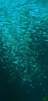 Mobile wallpaper of a swirling fish school in blue-green ocean.