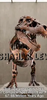 Sue, the T-Rex fossil on display with historical text overlay.