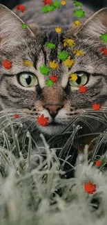 Tabby cat with green eyes in frosty grass close-up.