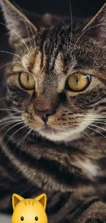 A tabby cat with golden eyes rests beside a cute toy emoji.