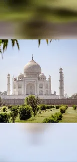 Taj Mahal under clear blue sky with lush greenery.