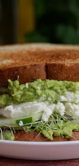 Avocado and cheese sandwich with sprouts on toasted bread.