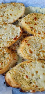 Crispy garlic bread with melted cheese topping.