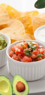 Plate with guacamole, salsa, sour cream, and tortilla chips.