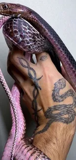 Tattooed hand holding vibrant pink snake with artistic flair.