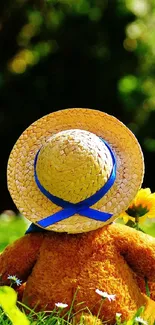 Teddy bear in straw hat sitting in a sunlit summer field.