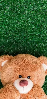 Adorable teddy bear resting on lush green grass background.