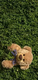 Teddy bear on a green leafy background, vibrant and cute.