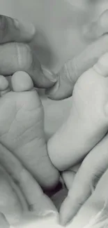 Close-up of baby feet held in loving hands in grayscale.