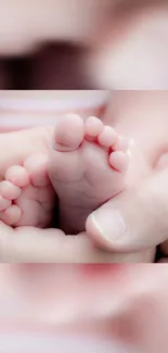 Close-up of baby feet gently held in adult hands, soft pink tones.