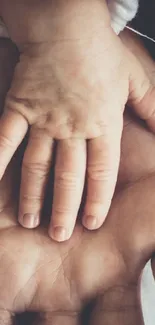 Baby's hand resting on parent's hand, symbolizing love.