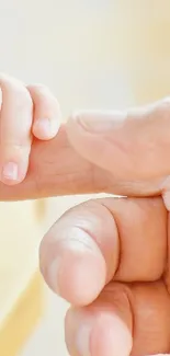Baby hand delicately holding an adult finger, symbolizing love and connection.