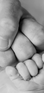 Black and white image of a baby and parent's hands touching.