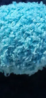 Closeup of vibrant blue wool fibers showcasing rich texture.