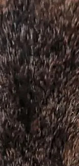 Close-up of textured brown fur pattern wallpaper for mobile devices.