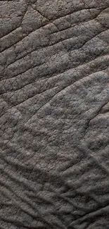 High-resolution elephant skin texture wallpaper for mobile devices.