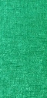 Green textured wallpaper for mobile phone background.