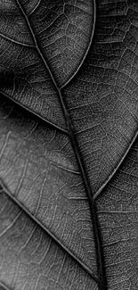 Black and white textured leaf mobile wallpaper with detailed veins.