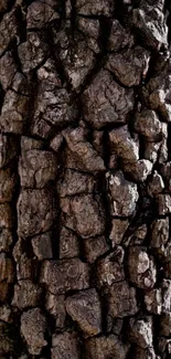 Close-up of textured brown tree bark with intricate patterns.