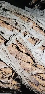 Close-up view of intricate wood bark texture in natural earthy tones.