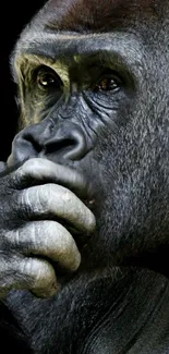 Gorilla deep in thought, close-up view.