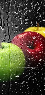 Three colorful apples on black background.