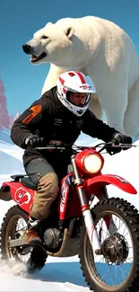 Motorcyclist chased by polar bear in snowy landscape wallpaper.