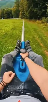 Alpine coaster ride with lush greenery backdrop