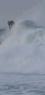 Surfer riding a large wave, creating an exciting ocean scene.