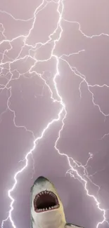 Shark with open mouth against a background of vivid lightning.