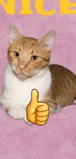 Cute cat with thumbs-up emoji on pink background.
