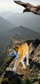 Tiger standing on rocky mountain with eagle overhead.