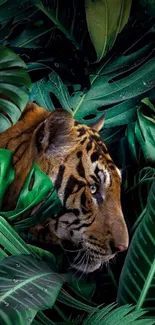 Tiger camouflaged among lush green jungle leaves.