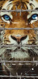 Tiger with blue eyes behind barbed wire in a digital wallpaper.