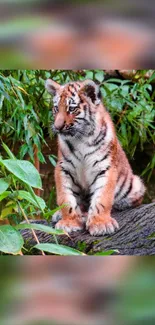 Adorable tiger cub sitting in a lush jungle setting.